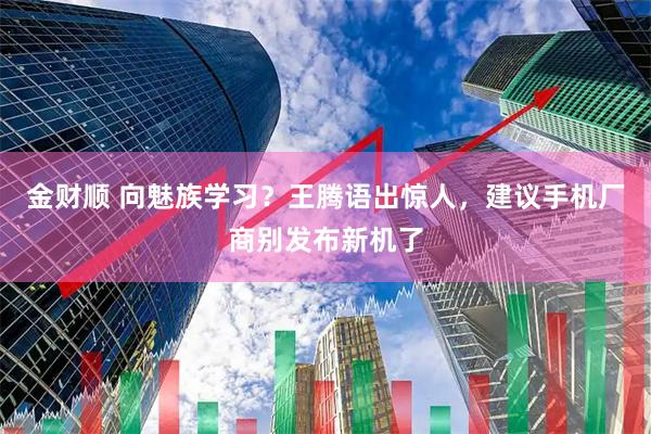 金财顺 向魅族学习？王腾语出惊人，建议手机厂商别发布新机了