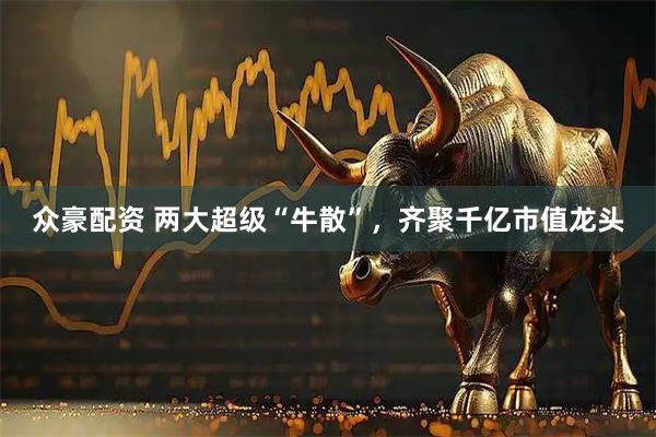 众豪配资 两大超级“牛散”，齐聚千亿市值龙头