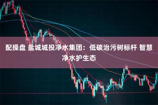 配操盘 盐城城投净水集团：低碳治污树标杆 智慧净水护生态