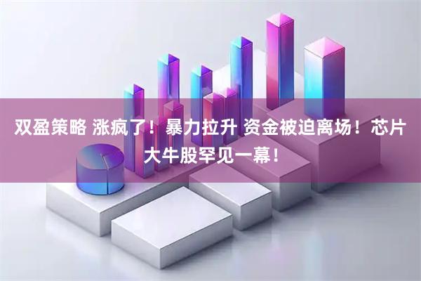 双盈策略 涨疯了！暴力拉升 资金被迫离场！芯片大牛股罕见一幕！